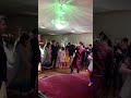 Asian Wedding ft. Darius Electric Violinist #Shorts