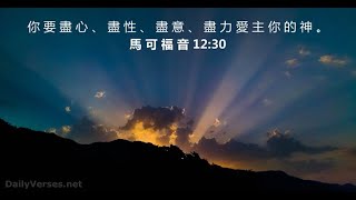 列王记上 第11章上 所罗门离弃神