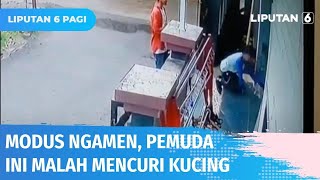 VIRAL! Dua Pengamen di Depok Curi Kucing Peliharaan di Perumahan Warga | Liputan 6