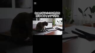 【9割が知らない】ねこの豆知識  #shorts #cat #ねこ