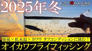 【オイカワ釣り】2025年冬！タフコンディションに挑む！オイカワフライフィッシング【レイン坊ちゃんねる～Rainbow’ｓ Japanese Fishing Life～】