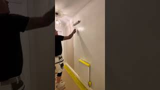 Trying out the Valspar Trade Tough MATT #fyp #foryou #foryoupage #painting #paintwarrior #tips