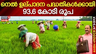 Kerala Budget | സംസ്ഥാനത്തെ നെൽ ഉല്പാദന പദ്ധതികൾക്കായി 93.6 കോടി രൂപ |  FM KN Balagopal