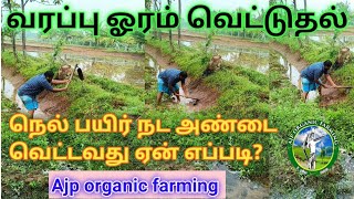 நெல் வயல் வரப்பு வெட்டுதல் ( அ ) அண்டை வெட்டுதல் நெல் பயிர் நட வயலில் ஓரம் வெட்டுதல் களை நிர்வாகம்