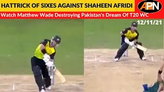 AUS VS PAK: Matthew Wade Destroys Shaheen Afridi & Pakistan's Dream Of T20 WC By A Hattrick Of Sixes