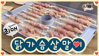 쫄깃쫄깃 맛도 좋은 강아지 간식 | 실패없는 최애 닭가슴살말이 만들기 |