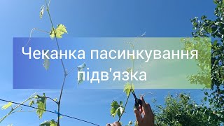 Чеканка пасинкування підв'язка