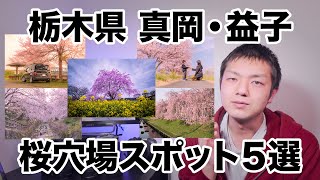 [0218] 栃木県 真岡・益子 桜穴場スポット５選ってお話