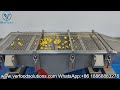 verfoodsolutions chicken popcorn vibrating sorting machine