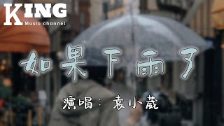 如果下雨了-袁小葳【如果天下雨了，天下雨了，你会在哪停留。】［动态歌词］