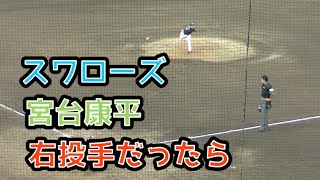 【左右反転】スワローズ宮台康平の投球フォーム 2021年6月24日版