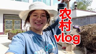 女大学生回村vlog|田里浇地回来买个汉堡，老人吃的很快乐！