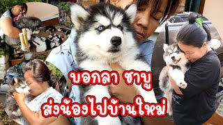 บอกลา ชาบู (ส่งชาบู ถึงบ้านใหม่)ตัดตามน้องชาบู ได้ที่ https://www.facebook.com/newapom.pelngeon