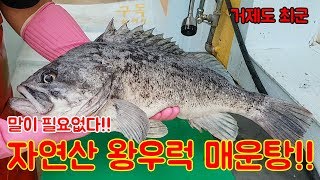 6짜 자연산 왕우럭으로 매운탕을?? 맛 쥑인다!!