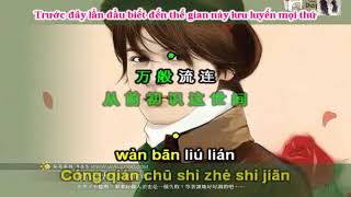 [Vietsub+Pinyin] Gió Nổi Lên Rồi - 起风了