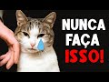 10 Coisas que um gato NUNCA PERDOARÁ! 🔥