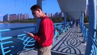 ［香港］烏溪沙碼頭 ［hong kong]Wu Kai Sha Pier walking tour