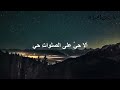 أنشودة أرى فجراً من أروع أجمل الأناشيد المعبرة .