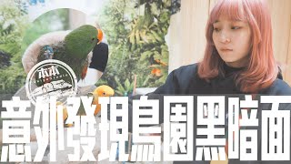 鳥園咖啡廳的驚人內幕｜一點都不美好！？