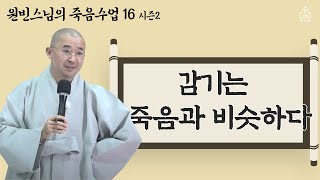 감기는 죽음과 비슷하다! 죽음을 최고의 기회로 바라보기