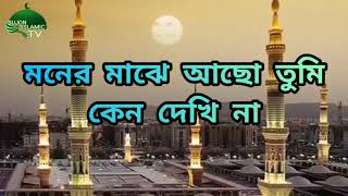 আমার এই মনেরও সেই কামনা সোনার মদিনা| Artist- Anis Ansari|(Halal Entertainment)