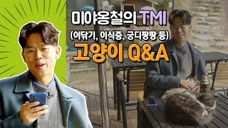 냥천재 미야옹철의 고양이, 어디까지 알아보고 왔니?(TMI 주의)