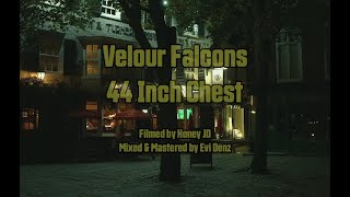 Velour Falcons - 44 Inch Chest (Official Video)