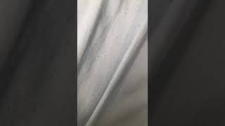 My thoughts on Belle Delphines onlyfans account