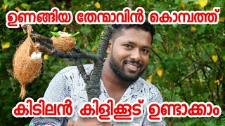 ഉണങ്ങിയ തേന്മാവിൻ കൊമ്പത്ത് കിടിലൻ കിളിക്കൂട് ഉണ്ടാക്കാം | Tech | Malayalam