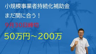 『持続化補助金』最大200万円もらえるのにみんななんで使わないの？