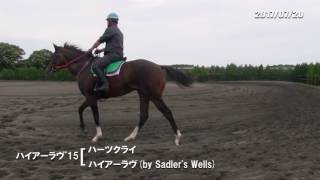 07/20　キングオブハーツ（父ハーツクライ　母ハイアーラヴ）調教