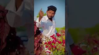 💙 Jay bhim khatarnak Jay mim 💚 _ trending Instagram Reels Video