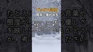 【ブッダが説く】粗末に扱われる  #ブッダ #ブッダの教え #仏陀 #仏陀の教え #お釈迦様 #仏教 #マインドフルネス #瞑想 #自己啓発 #メンタル #悩み #相談 #スピリチュアル #感情