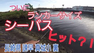 ついに！ランカーサイズのシーバスがヒット！！長崎県 諫早市立真城小学校 裏  ルアーフィッシング/22ステラ  ／ストイストRT /