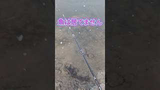 2025.2.15ポカポカですが釣れません！宇治川ブラックバス釣り！ #fishing #釣り #bassfishing