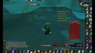 world of warcraft shamma dps