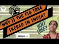 What is India's sacred tree?