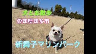 犬とお散歩で新舞子ビーチパークに行ってきた