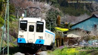 上信電鉄　崎平―下仁田　250系　普通列車