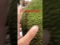 Its a jack fruit #jackfruit #store #shorts #viral