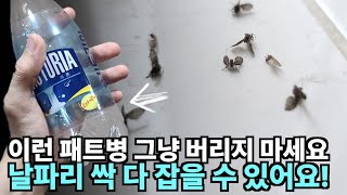 날파리 100% 싹 다 잡는 방법