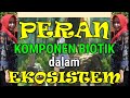 Peran Komponen Biotik dalam Ekosistem