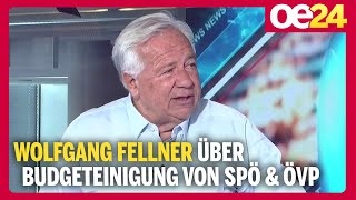 Koalition: ÖVP \u0026 SPÖ bei Budgetsanierung einig | Wolfgang Fellner​