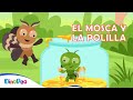 La mosca y la polilla 🍯🔥 | FÁBULAS para REFLEXIONAR | CUENTOS para NIÑOS | DinoPeq 🦖