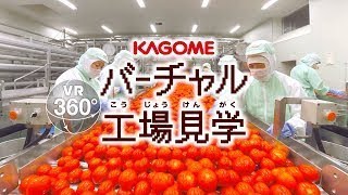 VR360°カゴメバーチャル工場見学MOVIE