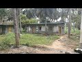 50 acres coconut farm house 🏠 for sale Nanjangud (8618143750) single owner