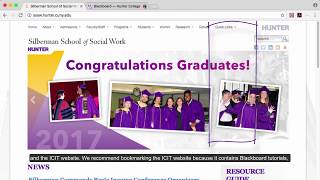 Faculty Blackboard Tutorial: The Basics