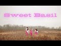 Sweet Basil - Strawberry Launch (Official Music Video)
