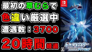 【ダイパリメイク】最初の草むらで色違い見つけるまでストーリー進めない地獄縛り~12日目~