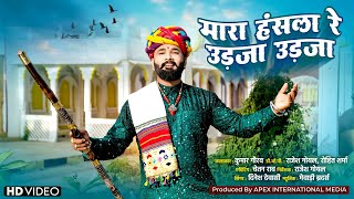 मारा हंसला रे उड़जा उड़जा | Dinesh Dewasi | Kumar Gaurav | New Rajasthani Songs 2025